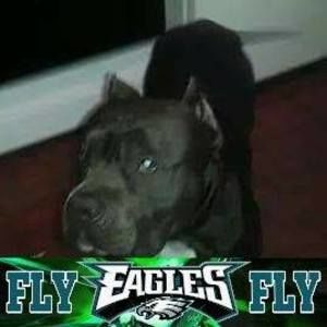 Meet your Posher, Derek